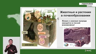 8 класс - РУ - География - №7 - Почвы Кыргызстана.  Земельные ресурсы