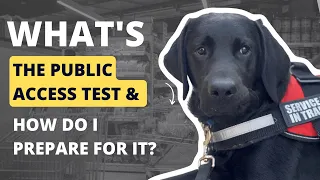 Public access test for service dog (PAT)