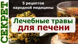 Печень можно вылечить травами - проверенные рецепты