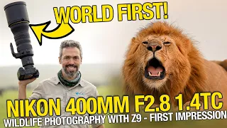 NEW Nikon 400mm F/2.8 with 1.4TC - field review wildlife photography with the Nikon Z9! How is it?