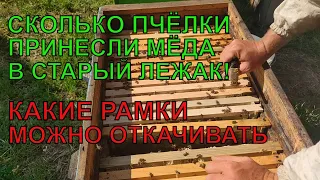 ОТКАЧКА МЁДА СТАРЫЙ ЛЕЖАК какие рамки можно брать КАКИЕ ЛУЧШЕ НЕ ТРОГАТЬ это важно ✅🐝🐝