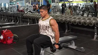 Seated Alternating Dumbbell Curls