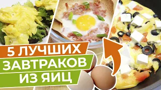 Правильный завтрак – готовим дома 5 вкусных завтраков из яиц / Заряд энергии на весь день!