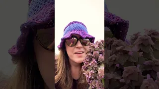 Purple dead nettle harvest at the farm. 💀💜🌿 #purpledeadnettle #lastminutelaura