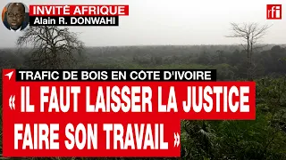 Trafic de bois en Côte d’Ivoire : « Il faut laisser la justice faire son travail » • RFI