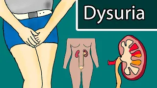 Painful urination (dysuria) - Symptoms, Causes and Treatment