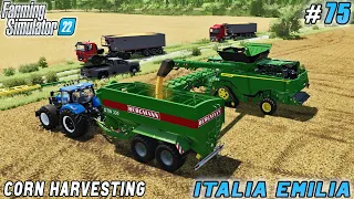 Caring for Cows,Tillage, Transportation, Corn Harvesting | Italian Farm | FS 22 | Timelapse #75