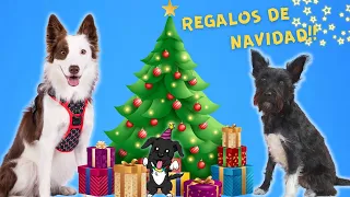 ABRIMOS NUESTROS REGALOS DE NAVIDAD! 🎅🏼  Lana y Mel