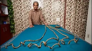 World’s longest NAILS to chop after 66 years