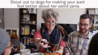 Dog People At the Thanksgiving Table: Holidays