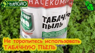 СУПЕРСРЕДСТВО ОТ МОРКОВНОЙ  и ЛУКОВОЙ МУХИ, КЛОПОВ и ТЛЕЙ выращиваем сами. Какой табак лучше?