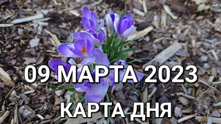 09 марта 2023 | карта дня | все знаки зодиака 🃏🍀💫