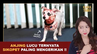 JANGAN SALAH PILIH HEWAN PELIHARAAN... | Alur Cerita Film oleh Klara Tania