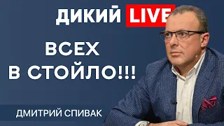 Информационный лохотрон. Дмитрий Спивак. ДИКИЙ LIVE.