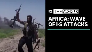 Islamic State appears to be regrouping in Africa | The World