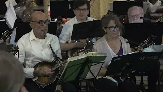 New York Mandolin Orchestra - J.S. Bach: Concerto for 2 Violins