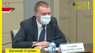 Депутат Ступин "разносит" едро