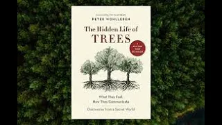 Forward & Intro of The Hidden life of trees by Peter Wohlleben