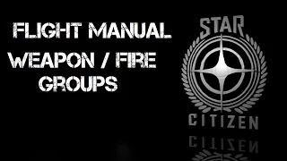 Star Citizen - Weapon Fire Groups - Flight Manual