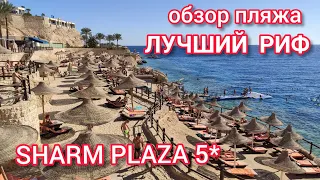 Sharm Plaza 5*. Обзор пляжа до мелочей. Лучший риф в Шарм-эль-Шейхе. Красивые кораллы и рыбки.