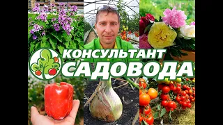 Консультант Cадовода на Усадьбе №"9