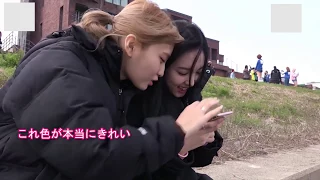 [TWICE][日本語]癒しでしかないナヨンXモモ