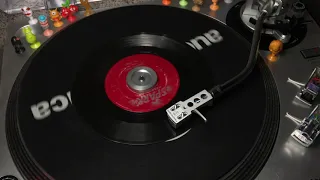 The Robins - Whadaya Want? (Spark 110) 45 rpm