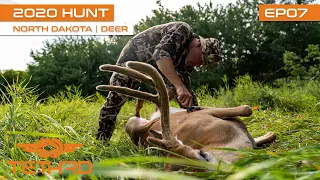 2020 Tethrd Hunt Tour - VELVET beauty with a RECURVE.