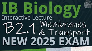 NEW 2025 EXAM - IB Biology B2.1 - Membranes & Transport [SL/HL] - Interactive Lecture