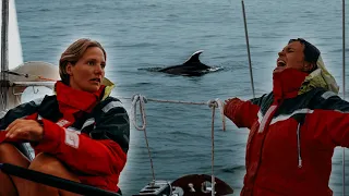 Ein unglaublicher Segeltörn (Wir können es nicht fassen 😧)