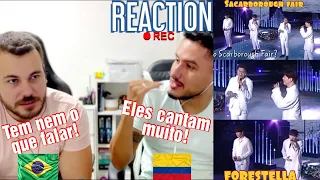 REACTION 포레스텔라 (Forestella) - SCARBOROUGH FAIR | 불후의 명곡2 /Immortal Songs 2 | KBS | REACT | 🇨🇴🇧🇷#408