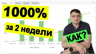 Как я заработал 1000% прибыли за 2 недели?