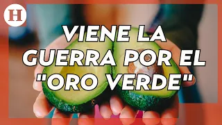 #Noticias | #Michoacán vive una guerra por el control de los terrenos del #aguacate