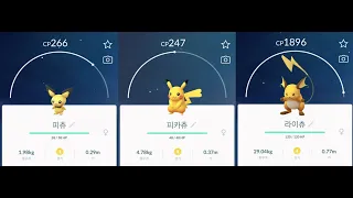 포켓몬고 진화 피츄 피카츄 라이츄 Pichu  Pikachu Raichu