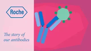The story of our antibodies