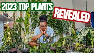 Houseplant Tour: My Top Houseplants of 2023 - You Won't Believe #24