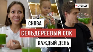 VLOG Давно хотели купить это: специальная соковыжималка для сельдерея / Аскеза в кедах