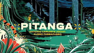 Pitanga - Russo Passapusso & Antonio Carlos & Jocafi (Visualizer)