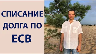 Списание долга по ЕСВ "спящих" ФЛП / Адвокат Руслан Шерстюк