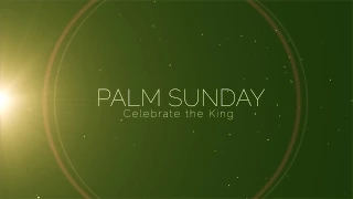 Motionbolt.com - Palm Sunday