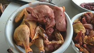 Limpando frango caipira