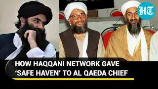 Sirajuddin Haqqani, America's 'most wanted', shielded Zawahiri in Kabul safe house? Report