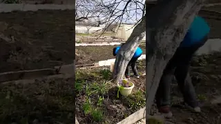 дачный сезон начался....👨‍🌾👩‍🌾👨‍🌾👩‍🌾👩‍🌾