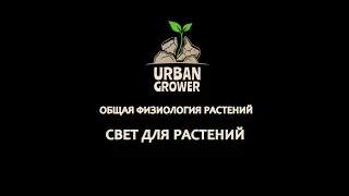 УРБАН ГРОВЕР УРОК 10 - СВЕТ ДЛЯ РАСТЕНИЙ - ОБЩАЯ ФИЗИОЛОГИЯ РАСТЕНИЙ