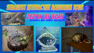 SEAQUEST  AQUARIUM TOUR  JUNE 2021 IN LAS VEGAS | #thechapmanfam