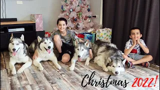 CHRISTMAS 2022 | LIFE WITH 4 SIBERIAN HUSKIES, 3 BOYS & SECRETLY PREGNANT WITH BABY NUMBER 4 | VLOG