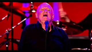 Joe Cocker - You Can Leave Your Hat On    Live Köln 2013