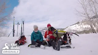 Rescue Dog And Her Family Try Skiing For The Very First Time l The Dodo Destination: Firsts