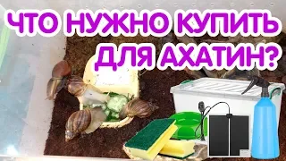 Что нужно купить для улиток ахатин? Аксессуары для улиток