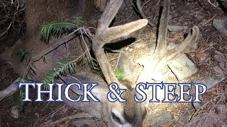 THICK & STEEP || 2020 California PUBLIC LAND Archery Hunt || CACCIA OUTDOORS